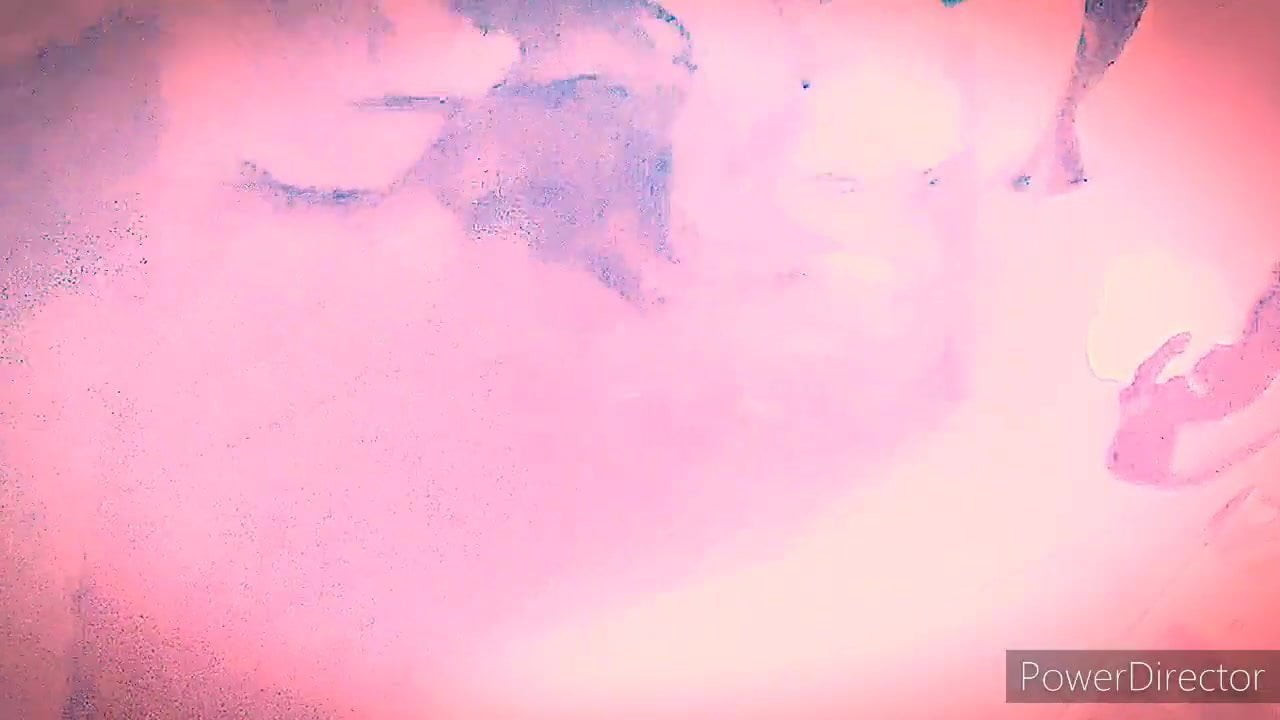My barbie that's so good to give blowjob