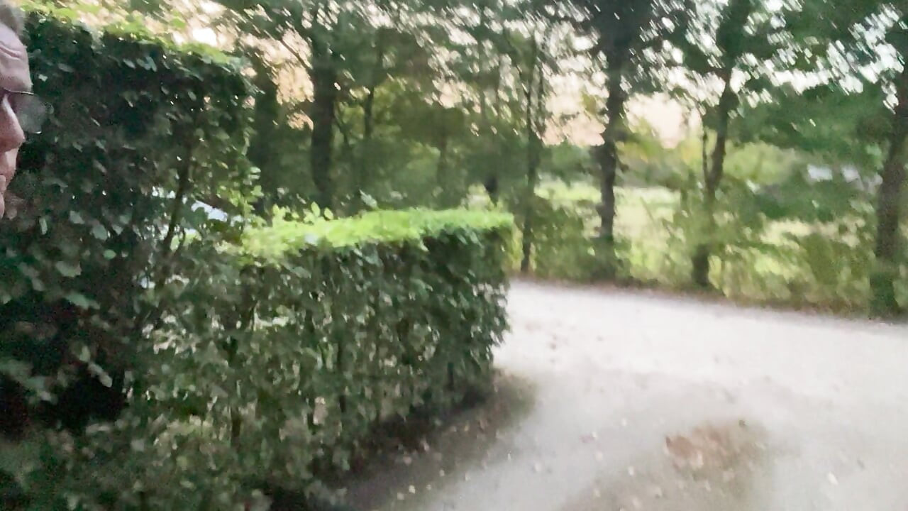 Taking a naked walk outside, trying to gt caught