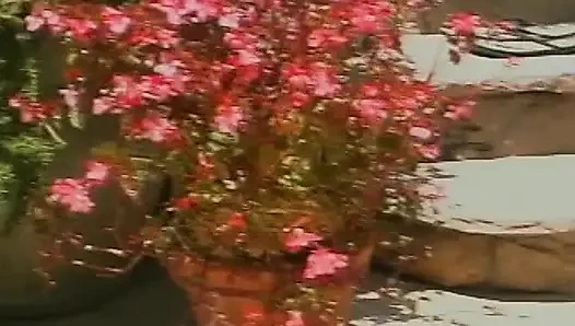 Perfect babes with hot bodies fucking each other with dildo