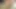 Cup Of Tea Or Taste My Thick Cock? Step Sis Tries Thick Dick 4K