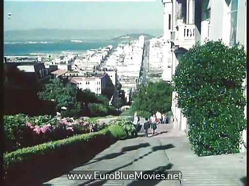 Tiga Warna Daging Daging