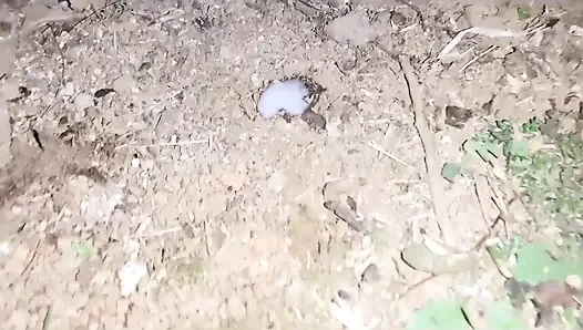 Ich brachte mich vom Haus in den Garten und brachte ihn, meine muschi zu ficken und es kam in meine Vagina.
