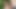 Naughty girl got lost and offered a blowjob for help