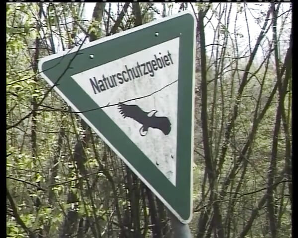 Ερασιτέχνιδα νεαρή από τη Γερμανία καβαλάει πούτσα