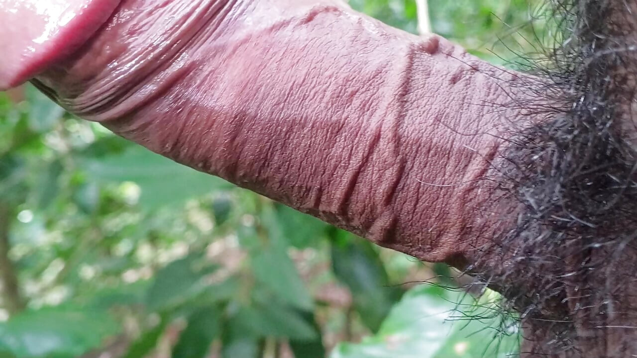 Engolidor passivo grávida do sexo masculino