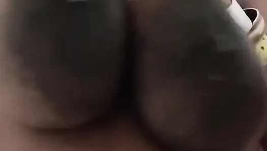 Disetubuhi