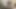 M633G06 A mature couple who starts SEX while watching AV.