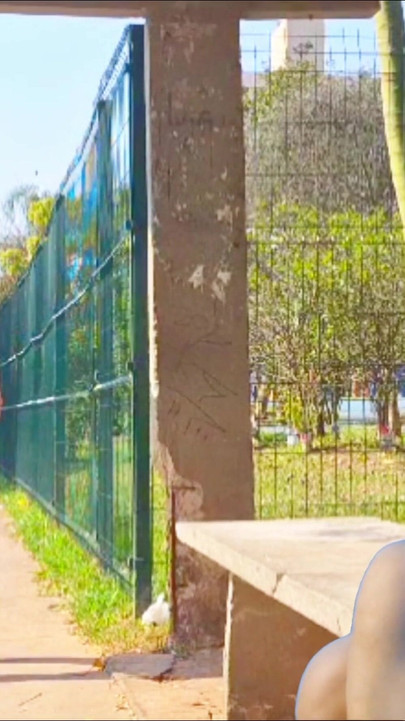 Must-share moment from "Sex in public at a bus stop."