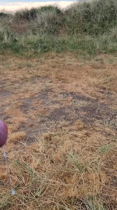 Emotional moment from "Morning Cumshot in Dansk Dunes"