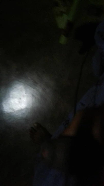 penish flash