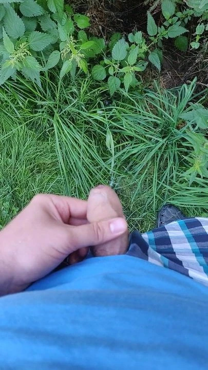 熊在大自然中射精
