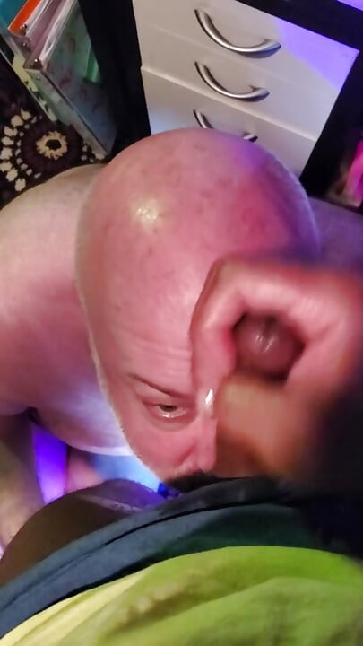 Bear Gets a Facial in the Office