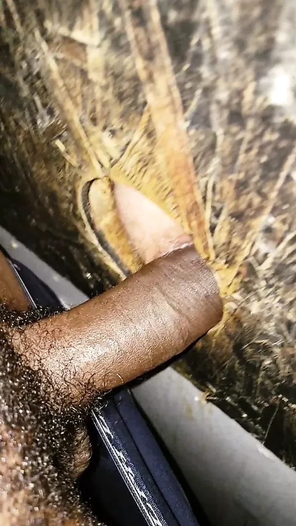Bareback Vinh quang lỗ creampie