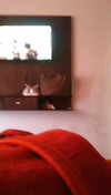 Pregled videozapisa