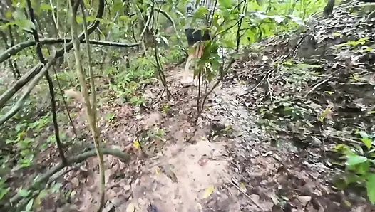 Thai girls walking and talking and picking mushrooms in the forest, secretly showing in the deep forest Clear Thai voice