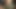 My wife message my  dick