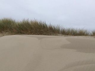 Schnelles Wichsen am Strand