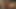 ミア・レラニのエキゾチックポルノのスラットが苦しみ、セックスされる