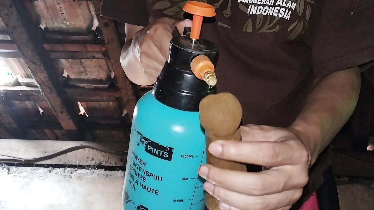 Masturbating on the attic of your own house