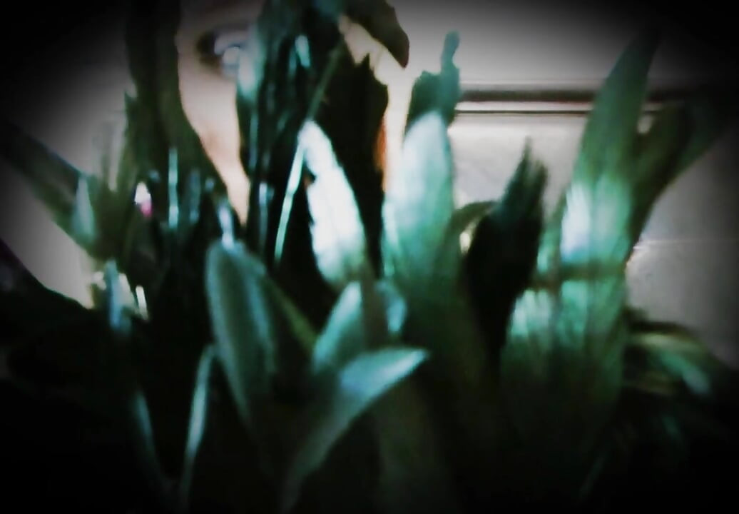 Gehirn unter meinen auswirkungen gewaschen