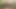 hugetit bbw blonde fucks ramon