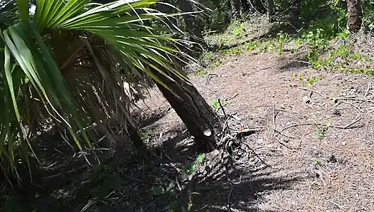 Видео на весь день