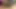 Close UP Bareback Fucking Huge Dick