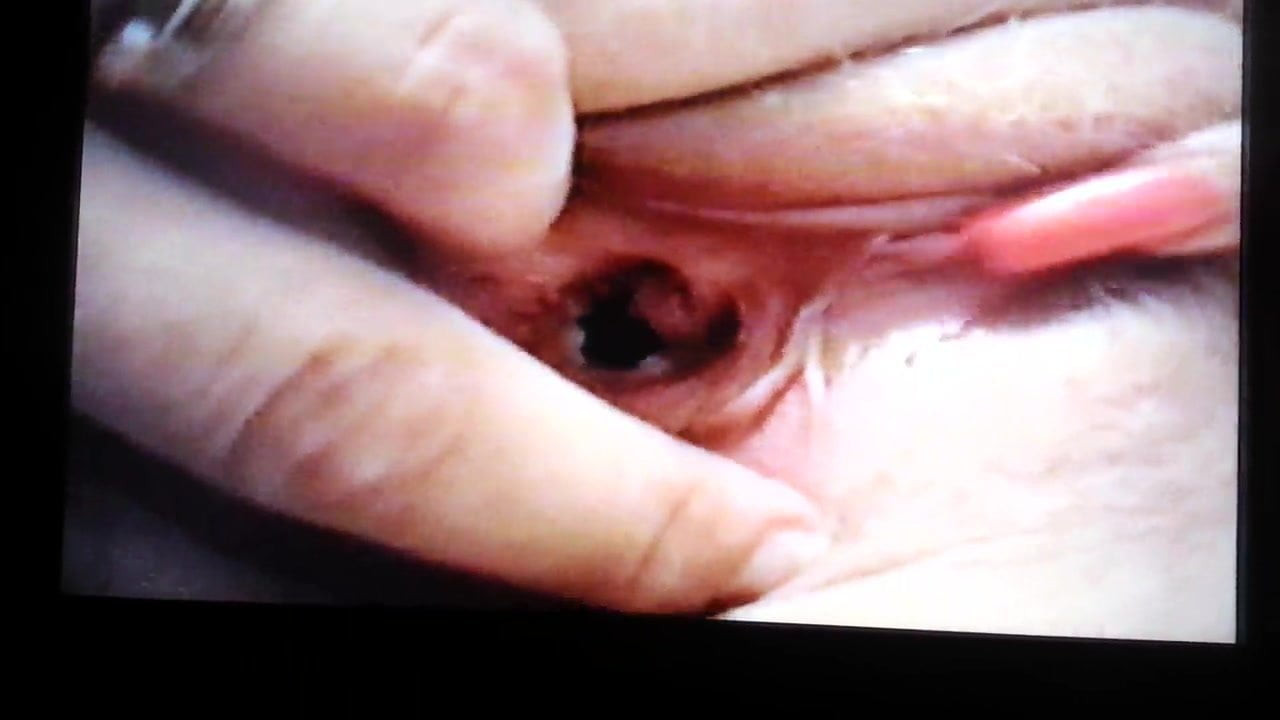 cock sucker