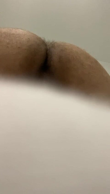 Ass Arabic