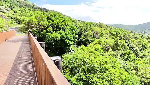 From Scenic Drive to Steamy Stop