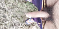 Pratinjau video