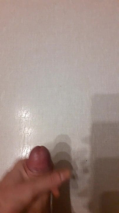 新事物