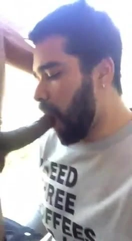 A great bearded sucker