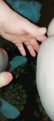 Anwixxen