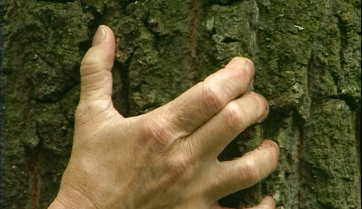 Wild Forest Fuck Thick Cock Deep in Her Pussy