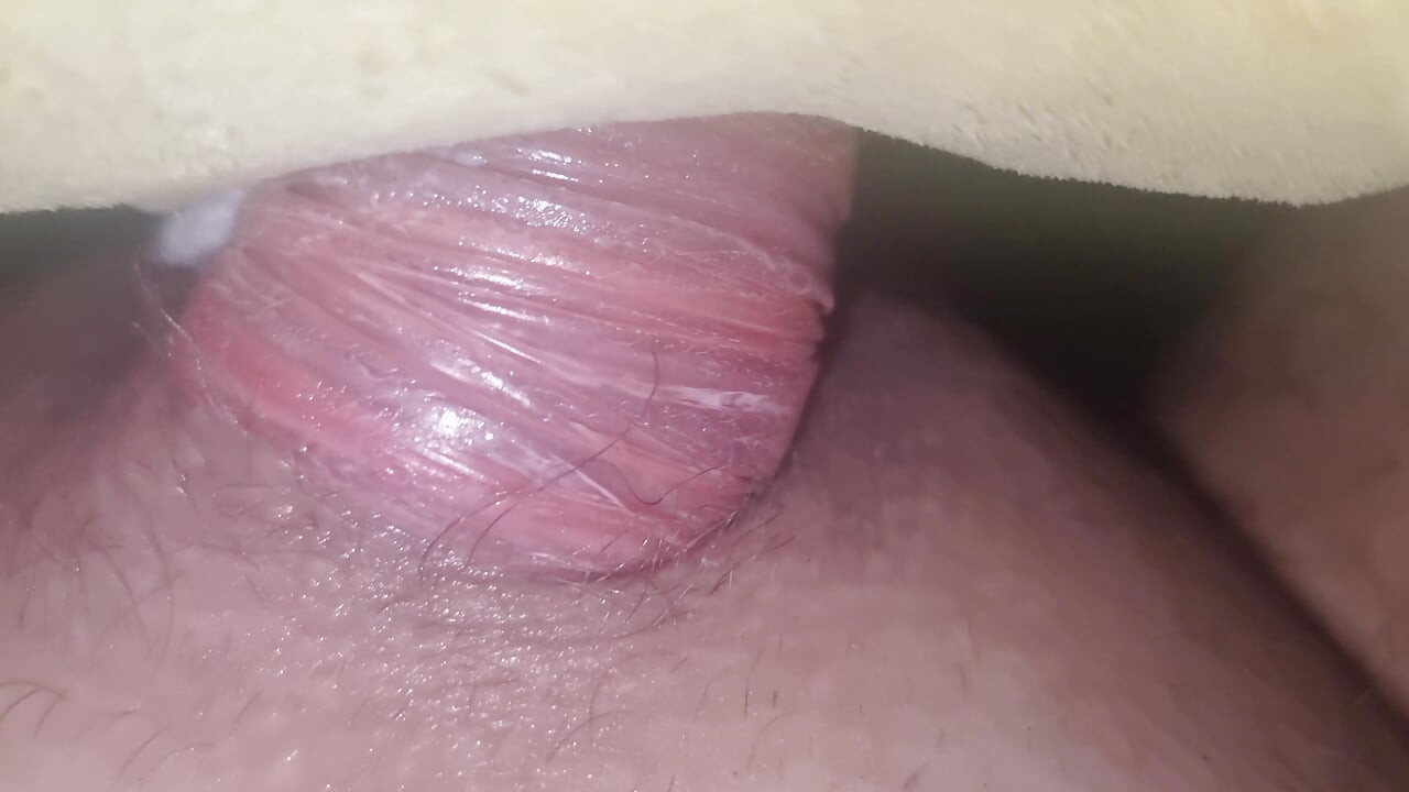 くそったれポケモンめ