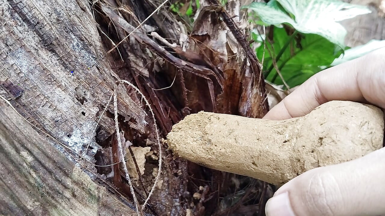 Banana Tree with a Dirt Dildo