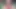 İri güzel kadın 14 inç dildo oral seks gırtlağına kadar alıyor