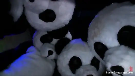 Pandamonium!! Panda-schlaflieder!! Panda-porno!!!!