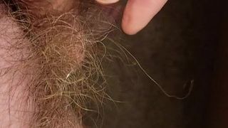 Pêlos pubianos ficando longos