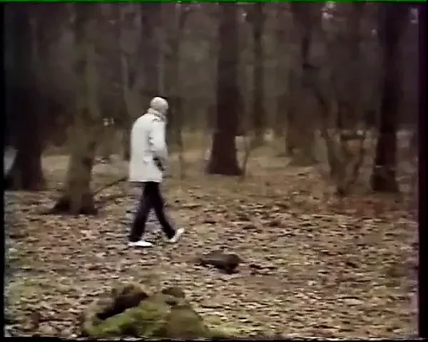 Classic French : Les 7 Pecheresses (1984)