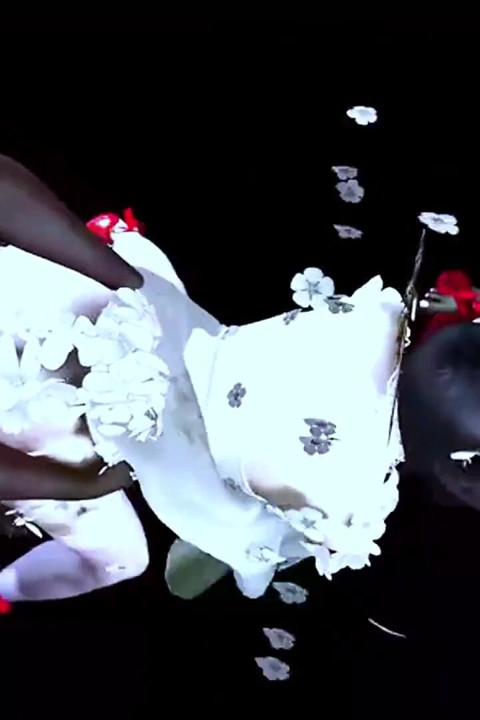 Deux grosses bites noires baisent une nana à gros nichons - animation 3D 244