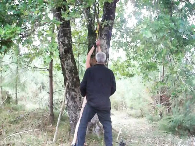 NIVEAU 4 - PUNIE DANS LES BOIS
