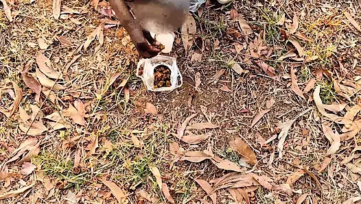 Моего отвезли в парк и трахнули, моя очень хорошая, это было очень весело.