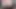 🔶CAM⁴ [²⁰mar²⁵] Black Panther (1)