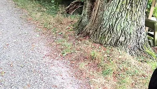 Tits off in public and painfully banging