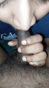 Anteprima video