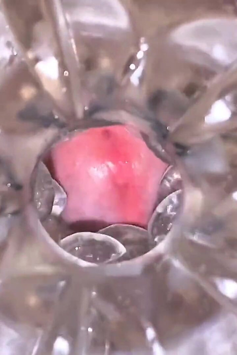 Close-up Cock in Tool for Masturbate Orgasm on Flash