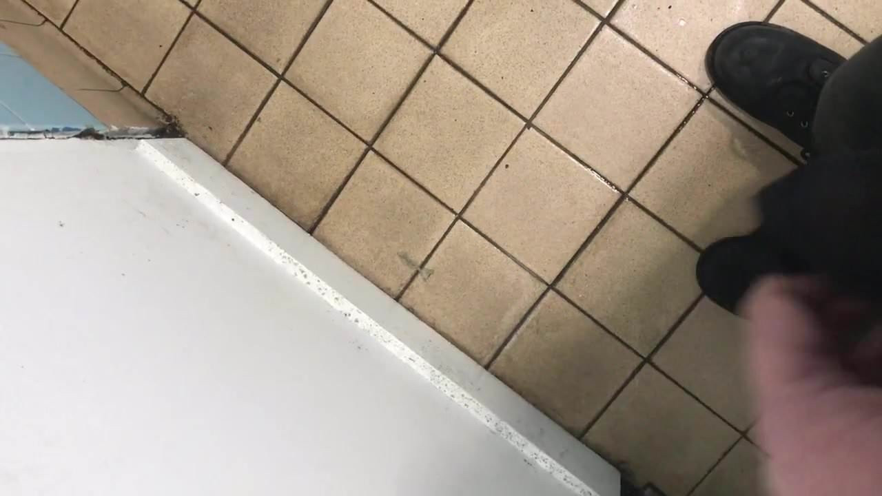 Public loo