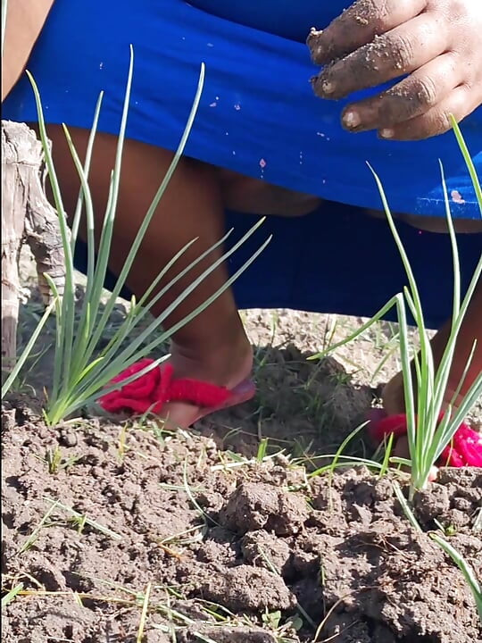 Madrastra caliente fue al jardín en un vestido sin bragas y vecino filmó